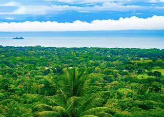 A vibrant view of the Pacific Coast from Costa Rica's dense rainforest, featuring lush foliage and a stretch of blue sea beneath a striking cloud-strewn sky. High quality photo