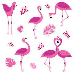 Cute flamingo in different postures. Pink bird collecltion. Vector illustration