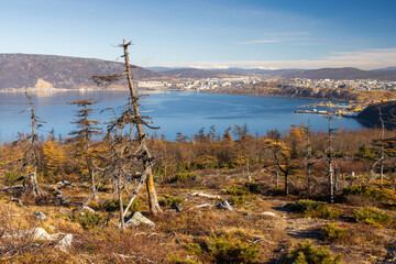 Autumn landscape. View from the hill to the sea bay and the port city. Beautiful nature of Siberia and the Russian Far East. Travel in the Magadan region. Surroundings of the city of Magadan, Russia. - 794083142