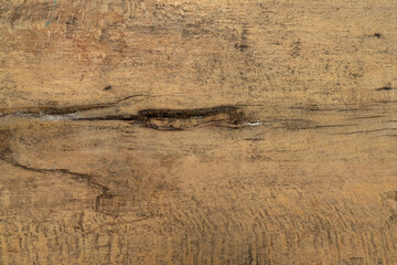 hollow teak wood background