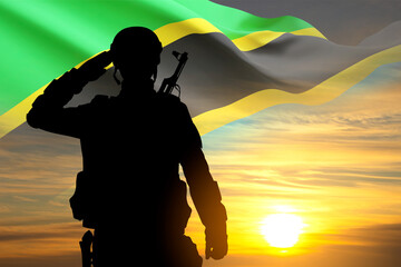 Silhouette of a soldier with Tanzania flag against the sunset. Concept of National Holidays - obrazy, fototapety, plakaty