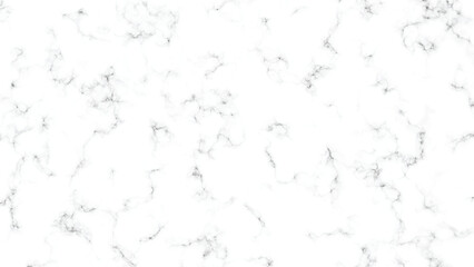marble granite white panorama background. abstract light elegant black do floor, ceramic texture stone slab. marble vector texture background with high resolution.
