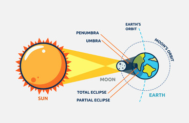 Vector illustration of solar eclipse diagram
