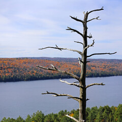 View of Rock Lake in Algonquin Park, Ontario, Canada