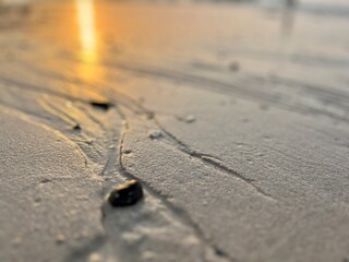 Sunlight on the wet sandy seashore