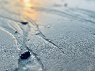 Sunlight on the wet sandy seashore