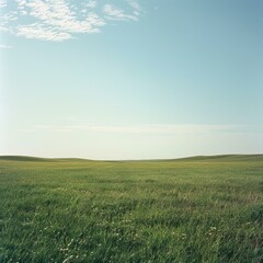 Obraz premium b'Grasslands are vast areas of land covered in grass.'