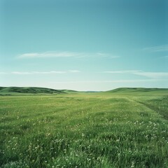 b'Vast green grassland under blue sky'