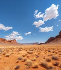 Foto op Aluminium A vast desert landscape with rugged mountains in the distance © Adobe Contributor