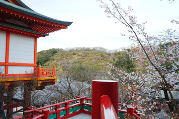 Yutoku Inari Shrine in Saga, Japan - 日本 佐賀 祐徳稲荷神社