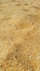 Closeup view of beach sand