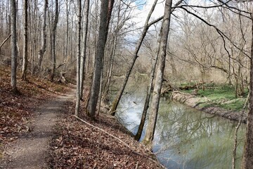 The hike near the flowing creek in the woods.