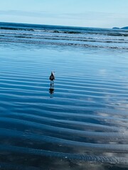 child on the beach