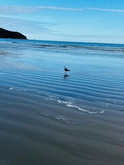 sea and beach