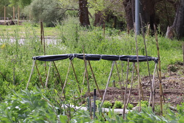 Fototapeta premium Horta