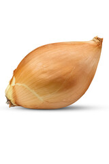 One large onion head isolated on a transparent background.