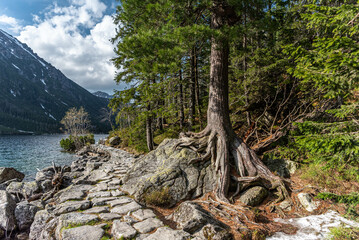 Trail next by Morskie Oko