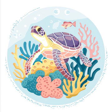 Cute waterfowl turtle swimming among coral reefs, depicted in a flat art style with pastel colors isolated on a white background. Watercolor illustration for a t-shirt, print. stickers, logo