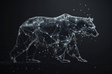 A bear is shown in a black background with a starry sky above it
