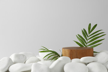 Obraz na płótnie Canvas Presentation for product. Wooden podium and green twigs on white pebbles. Space for text