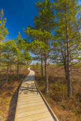 Viru Bog Viru Raba peat swamp, Estonia