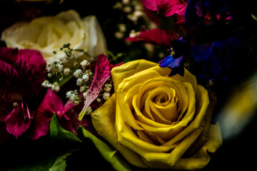 Eine gelbe Rose in einem Blumenstrauß