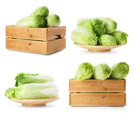 Foto op Aluminium Fresh ripe Chinese cabbages isolated on white, set © New Africa