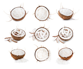 Coconut in nut shells isolated on white, set - obrazy, fototapety, plakaty