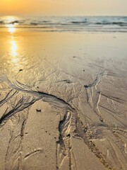 Sunlight on the wet sandy seashore