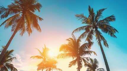 clear sky and coconut trees silhouette at sunset serene beach and summer vibe vacation getaway concept - obrazy, fototapety, plakaty