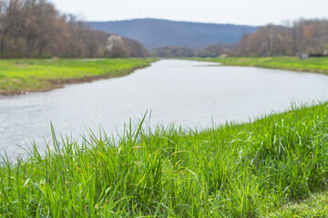 Copy space fresh early spring bloom river park blooming nature, season background
