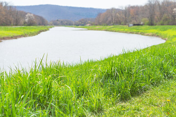 Copy space fresh early spring bloom river park blooming nature, season background