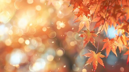 Naklejka na ściany i meble creative web banner for autumn activities featuring soft focus maple leaves and gentle bokeh
