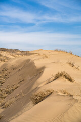 a sand dune. sandy beach. desert