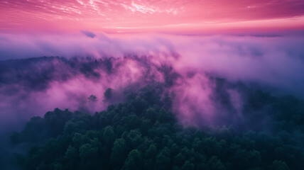 Naklejka premium A beautiful, misty forest with a pink sky in the background