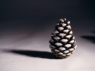 Winter pine cones and Christmas tree on white background 