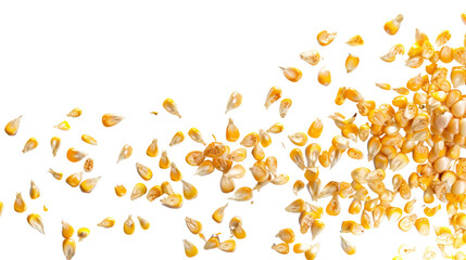 Flying corn seeds