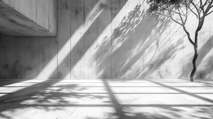 Abstract light and shadow play on concrete walls with tree silhouette