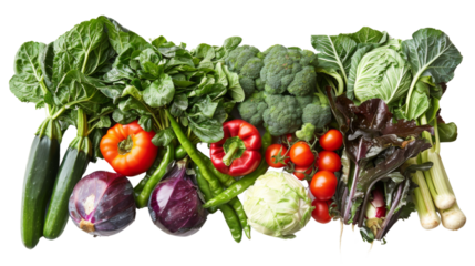 Fresh colorful organic vegetables