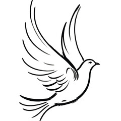 A Hand Drawn Dove Flying Line Drawing Phoenix