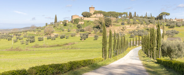 A typical Tuscan landscape.