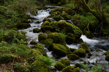 La Fervenza de Torez is one of the most impressive and unknown waterfalls in Galicia. It is a magical corner in O Valadouro. Lugo. Galicia. Spain