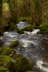 La Fervenza de Torez is one of the most impressive and unknown waterfalls in Galicia. It is a magical corner in O Valadouro. Lugo. Galicia. Spain