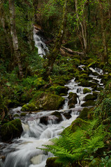 La Fervenza de Torez is one of the most impressive and unknown waterfalls in Galicia. It is a...