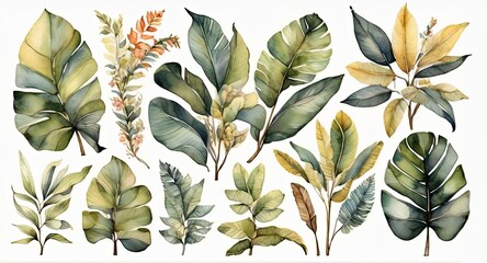 Watercolor set of tropical leaves,  - 794182568