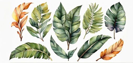 Watercolor set of tropical leaves,  - 794182723