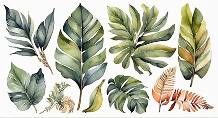 Watercolor set of tropical leaves,  - 794182907