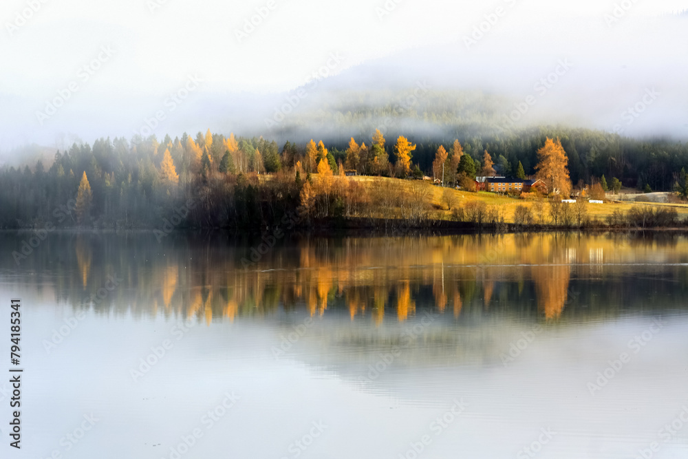 Poster Fog at the lake Jonsvatnet, Norway