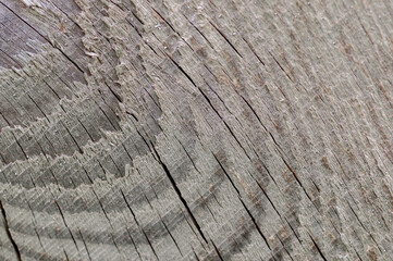 Wood grain background. For the background