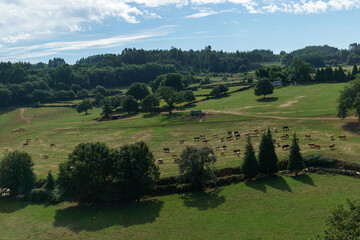 Rural scene from Pambre Castle, Palas de Rei municipality, Lugo province, Galicia, Spain